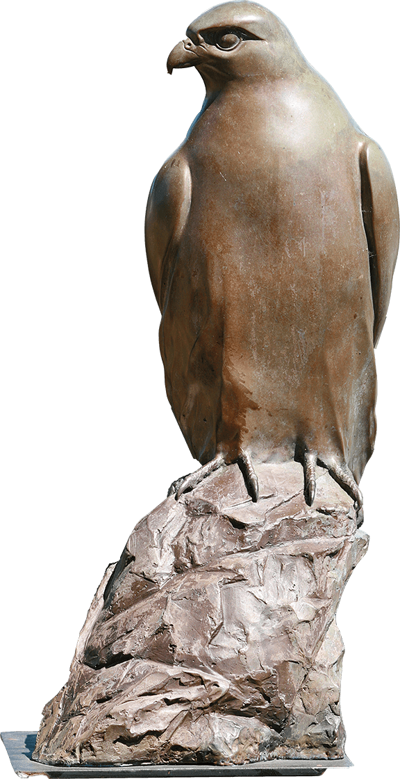 Falco Rusticolus <span>Ross Matteson</span>